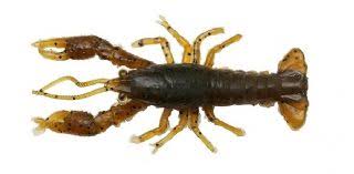 Savage Gear Ned Craw 6.5cm 2.5g