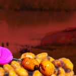 Dynamite Baits Frenzied Jumbo Tiger Nuts Boosted Hookbaits 500ml