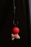 Estate Baits Hookbaits