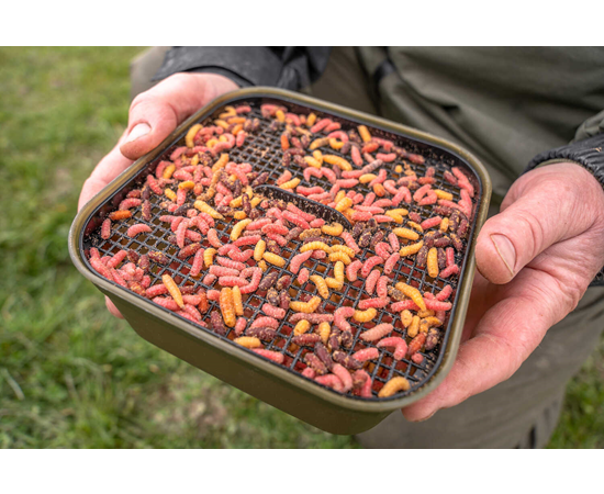 Korum 2 Pint Maggot Tub & Riddle – The Tackle Shed