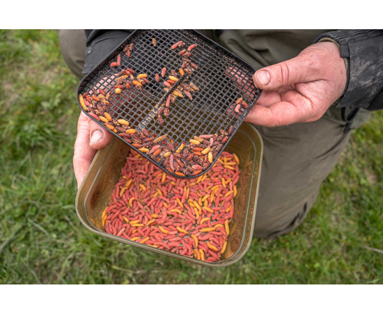Korum 2 Pint Maggot Tub & Riddle – The Tackle Shed