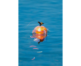 Korum Floating Window Combi Feeder 4g