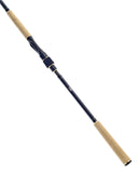 Daiwa Legalis 9ft-10ft 9-Piece Travel Rod