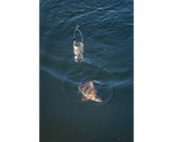 Korum Slow Sinking Feeders