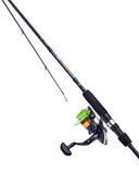 Daiwa D-Spin 5g-20g 2-Piece Rod & 2500 Reel Lure Combo